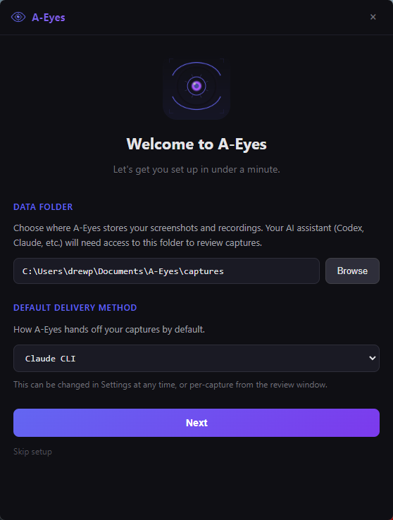 A-Eyes setup wizard